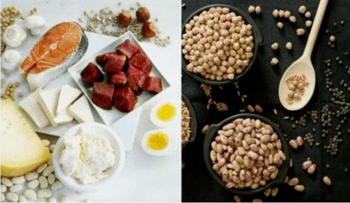 Examples of protein diet products