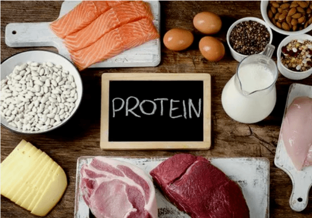 Protein diet products